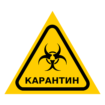 Знак «Карантин», Q13.6 (пластик, сторона 300 мм)